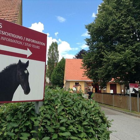 Weststeirische Ferienwohnung Piber Экстерьер фото